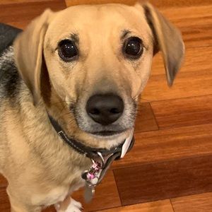 Meet your Posher, Wanda